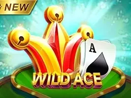 Wild Ace